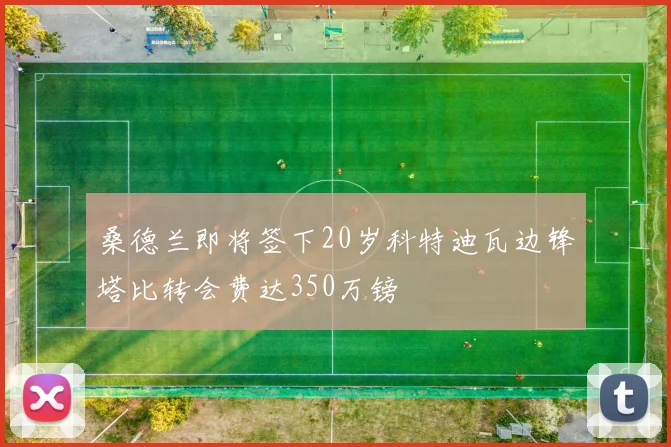 桑德兰即将签下20岁科特迪瓦边锋塔比转会费达350万镑