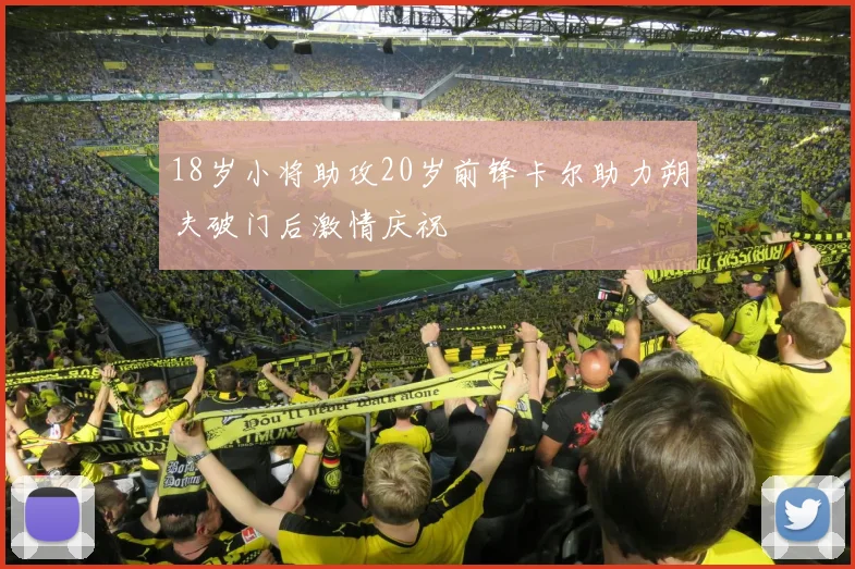 18岁小将助攻20岁前锋卡尔助力朔夫破门后激情庆祝