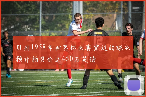 贝利1958年世界杯决赛穿过的球衣预计拍卖价达450万英镑