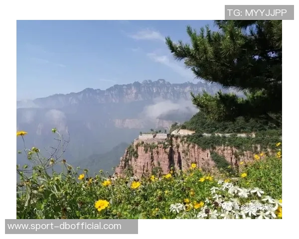 河南焦作文旅携手河南广播电视台民生频道共推文化旅游新发展 河南焦作文旅携手河南广播电视台民生频道共推文化旅游新发展