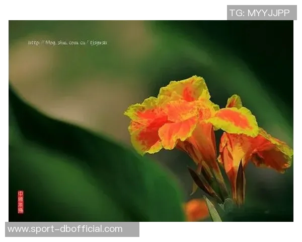 生活琐事与心灵感悟的碎碎念合集三十篇分享 生活琐事与心灵感悟的碎碎念合集三十篇分享